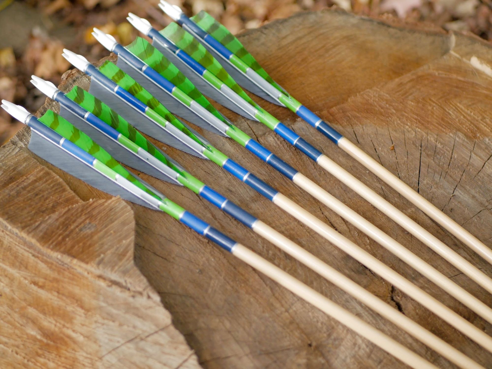 Green and blue fletched arrows on a tree stump
