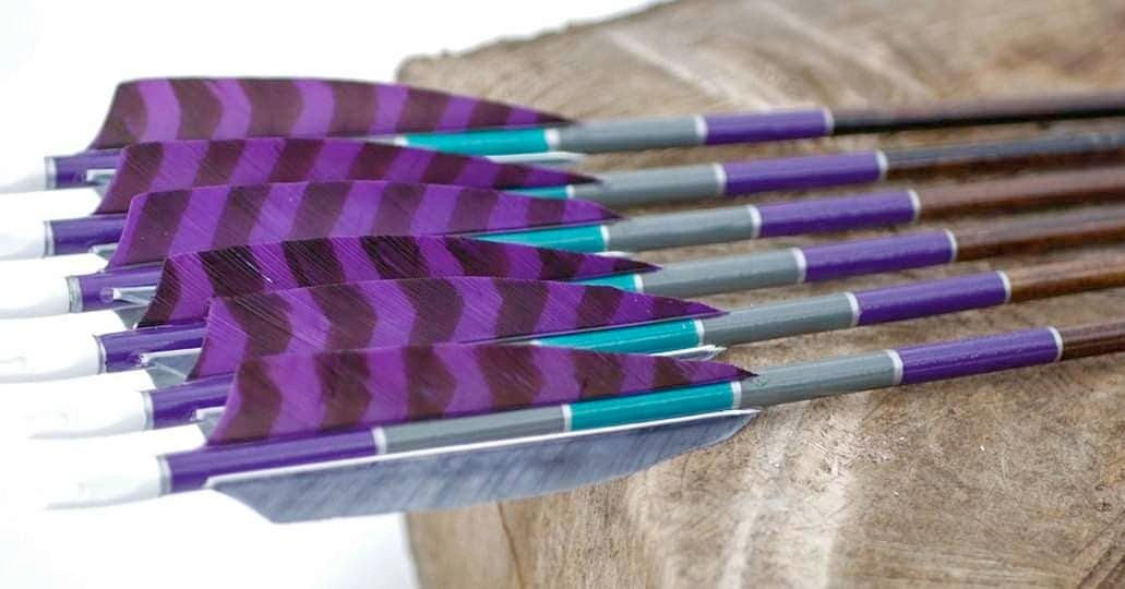 Purple and teal fletched arrows with barred feathers