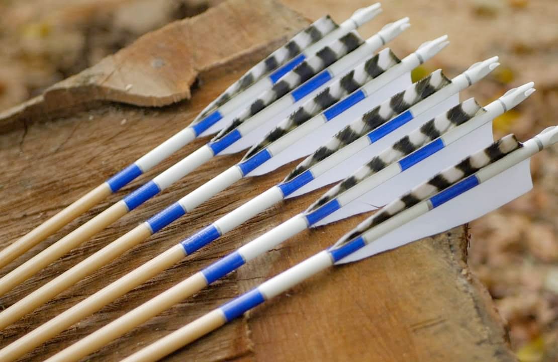 White and blue fletched arrows with barred feathers