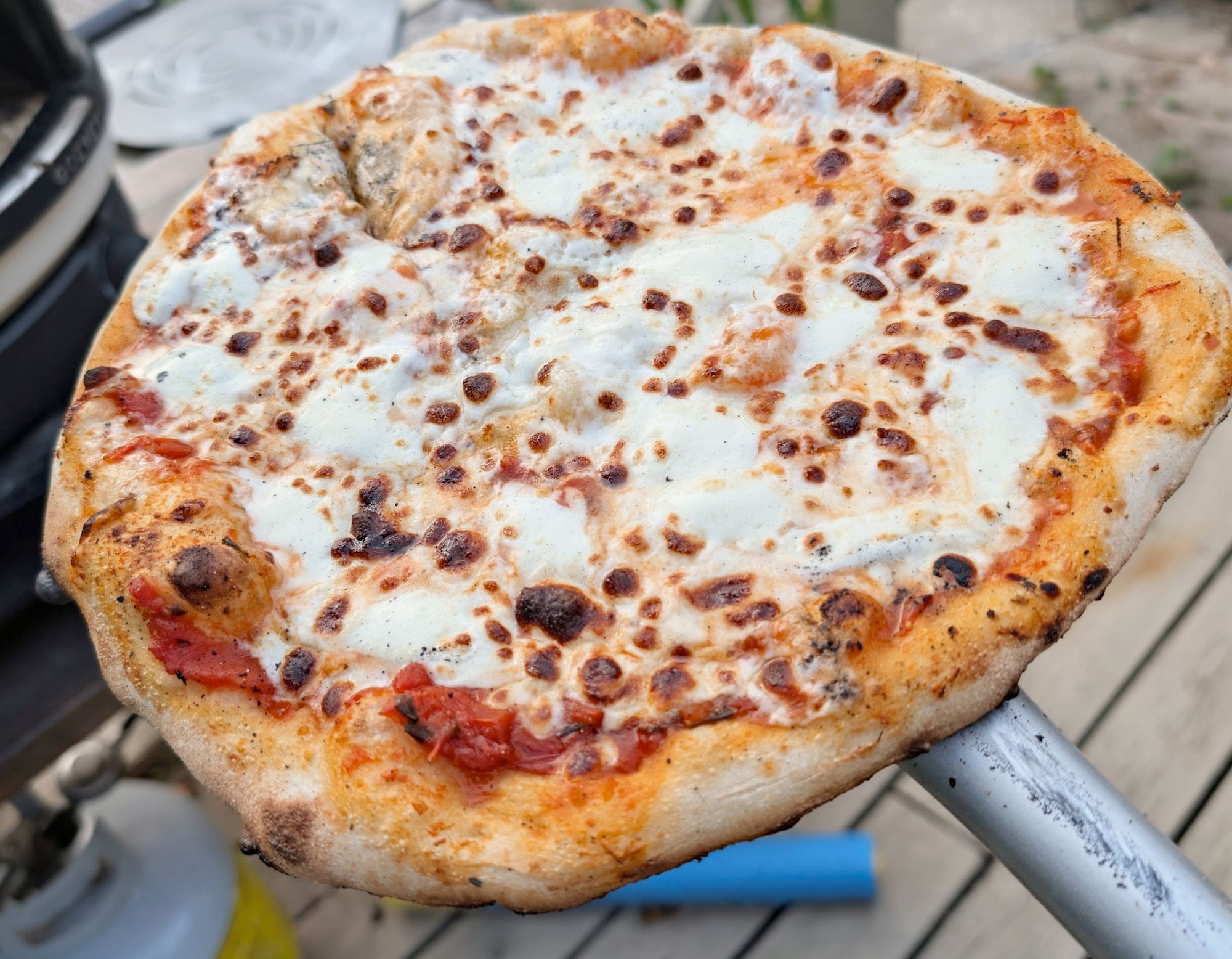 Wood-fired mozzarella pizza fresh off the peel